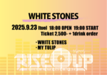 WHITE STONES